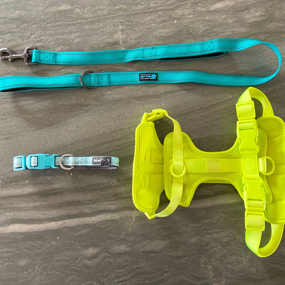 Dog Supplies (collar, leash 4’, harness)